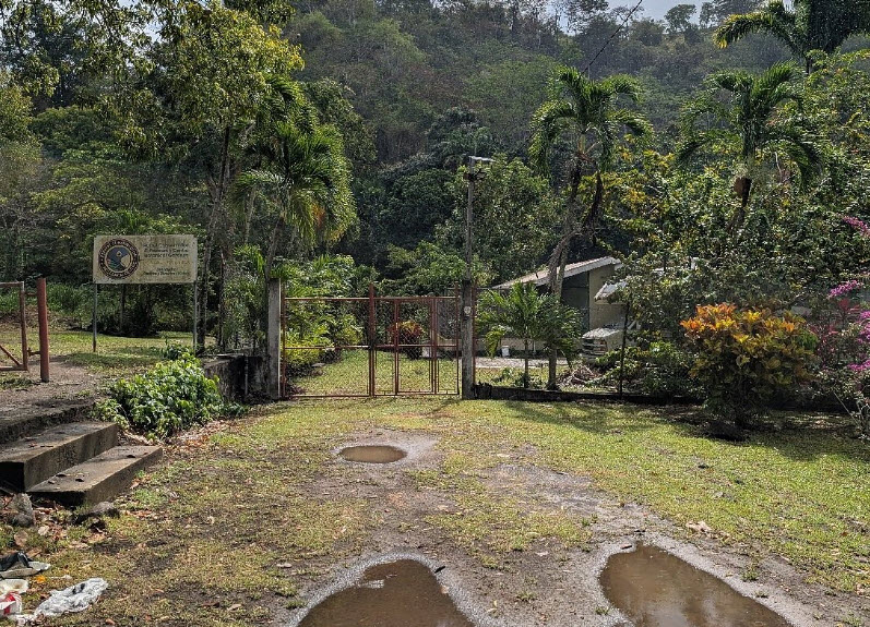 Botanic Gardens